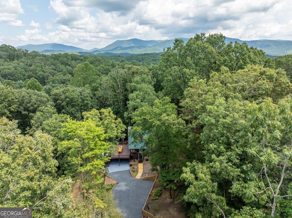 56 Hunterhill Way Ellijay - 25
