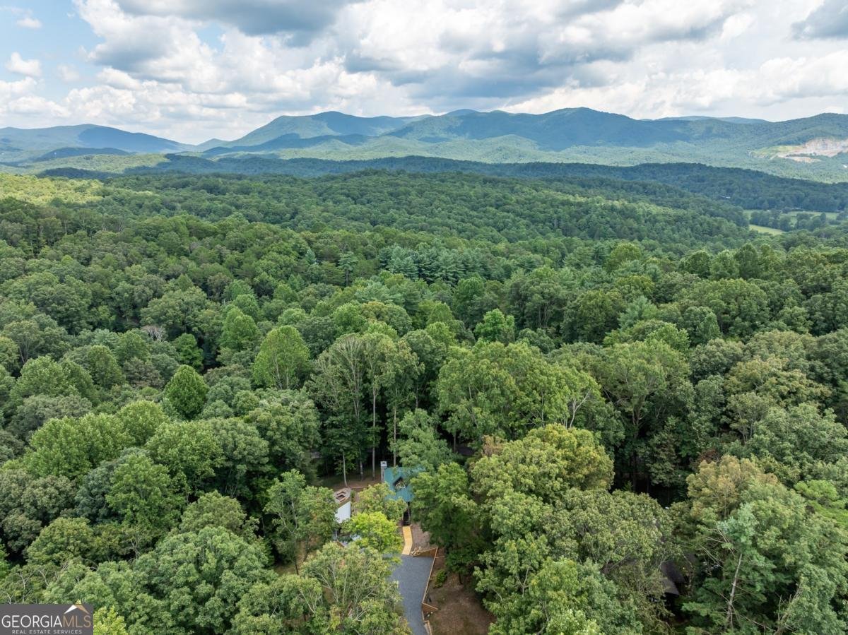 56 Hunterhill Way Ellijay - 26