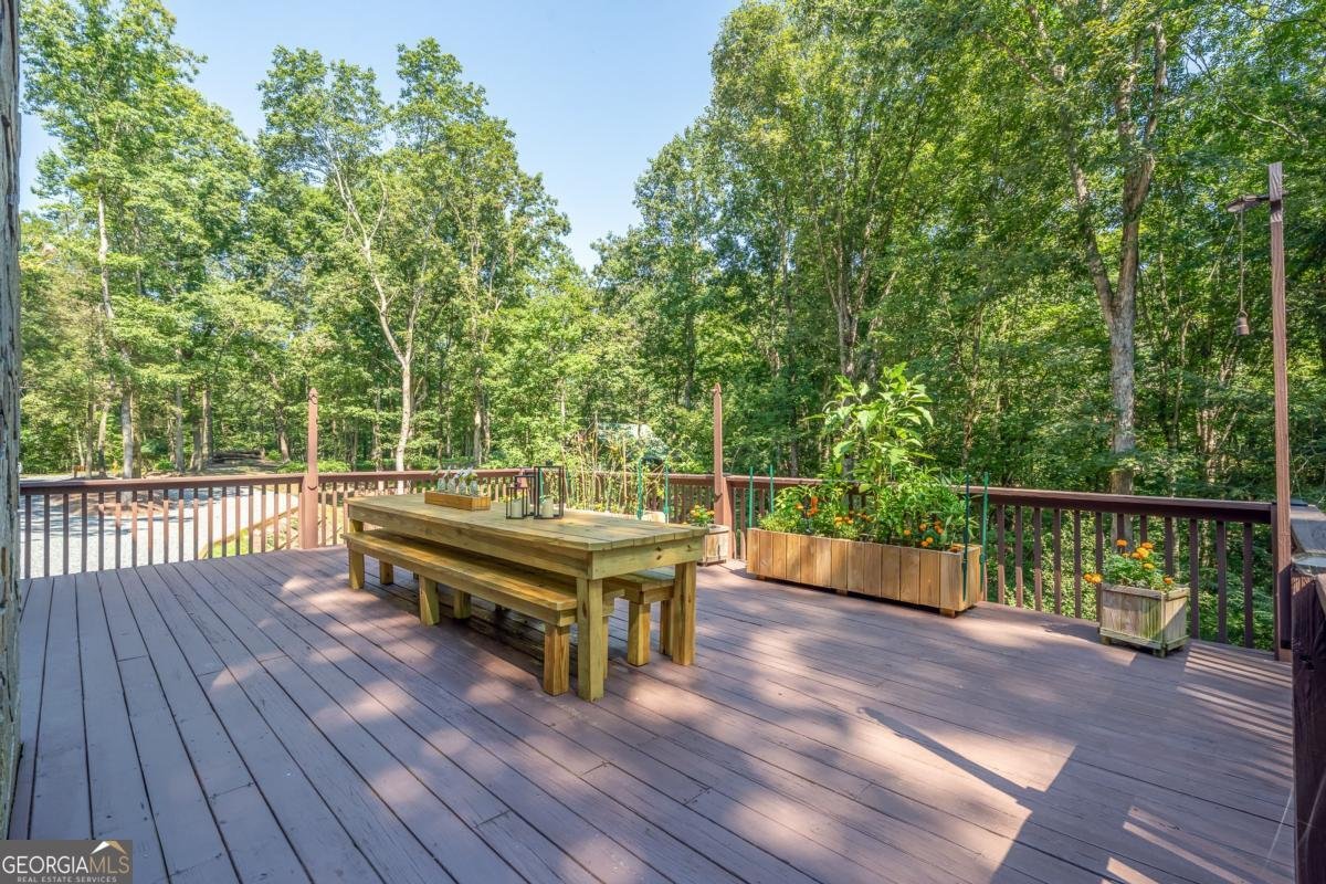 56 Hunterhill Way Ellijay - 30