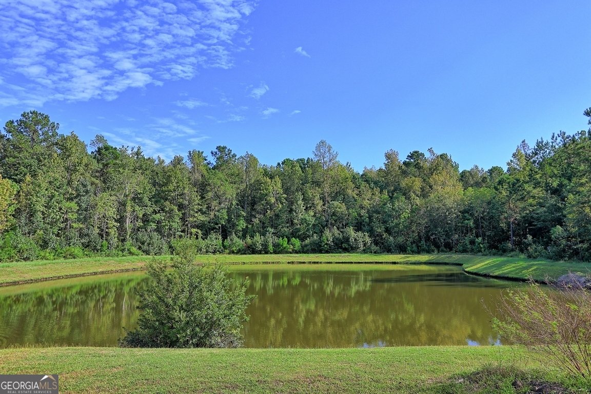 144 Tobago Circle Guyton - 44