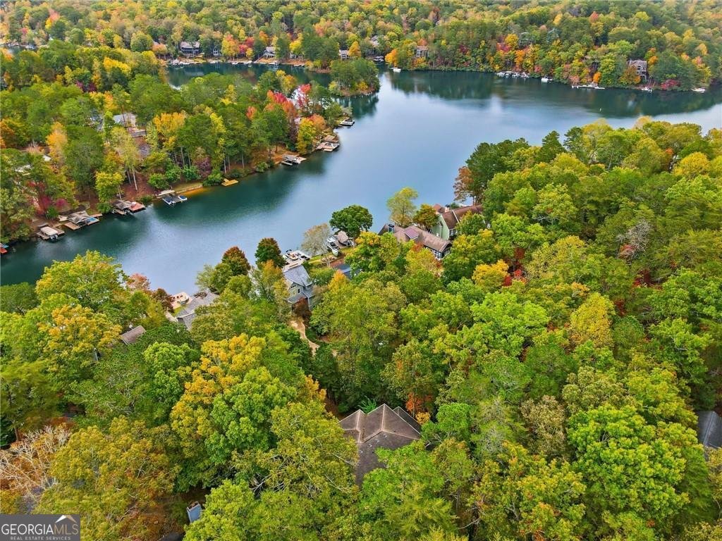 118 Lakeview Circle Waleska - 54