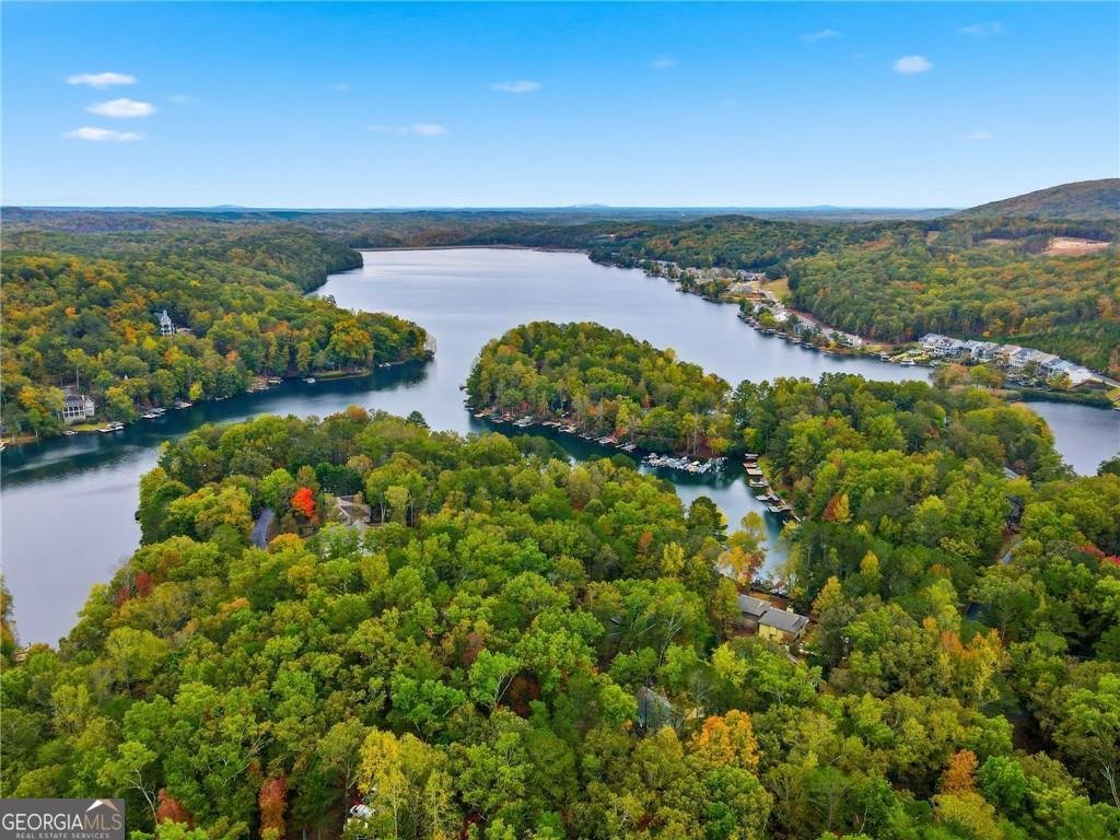 118 Lakeview Circle Waleska - 55