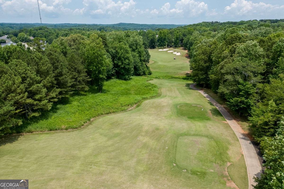 7231 Grand Reunion Drive Hoschton - 29