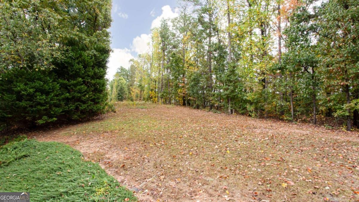 5619 Wandering Vine Lane Mableton - 46