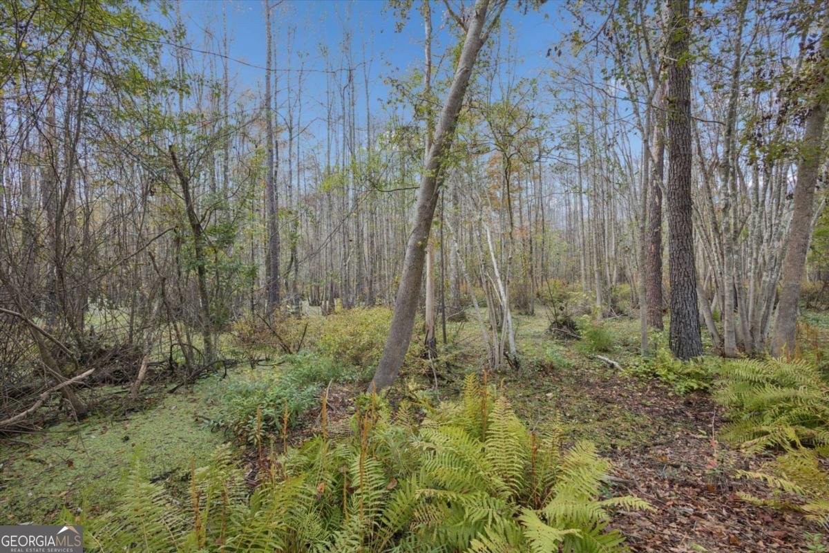 158 Grayson Avenue Savannah - 41