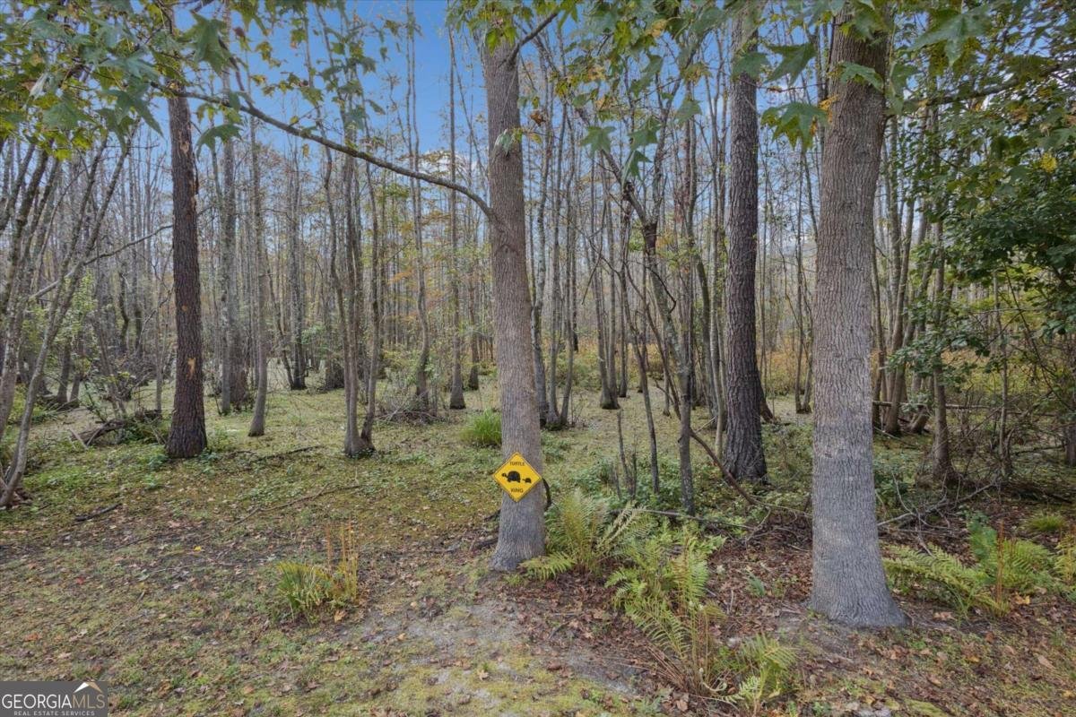 158 Grayson Avenue Savannah - 53