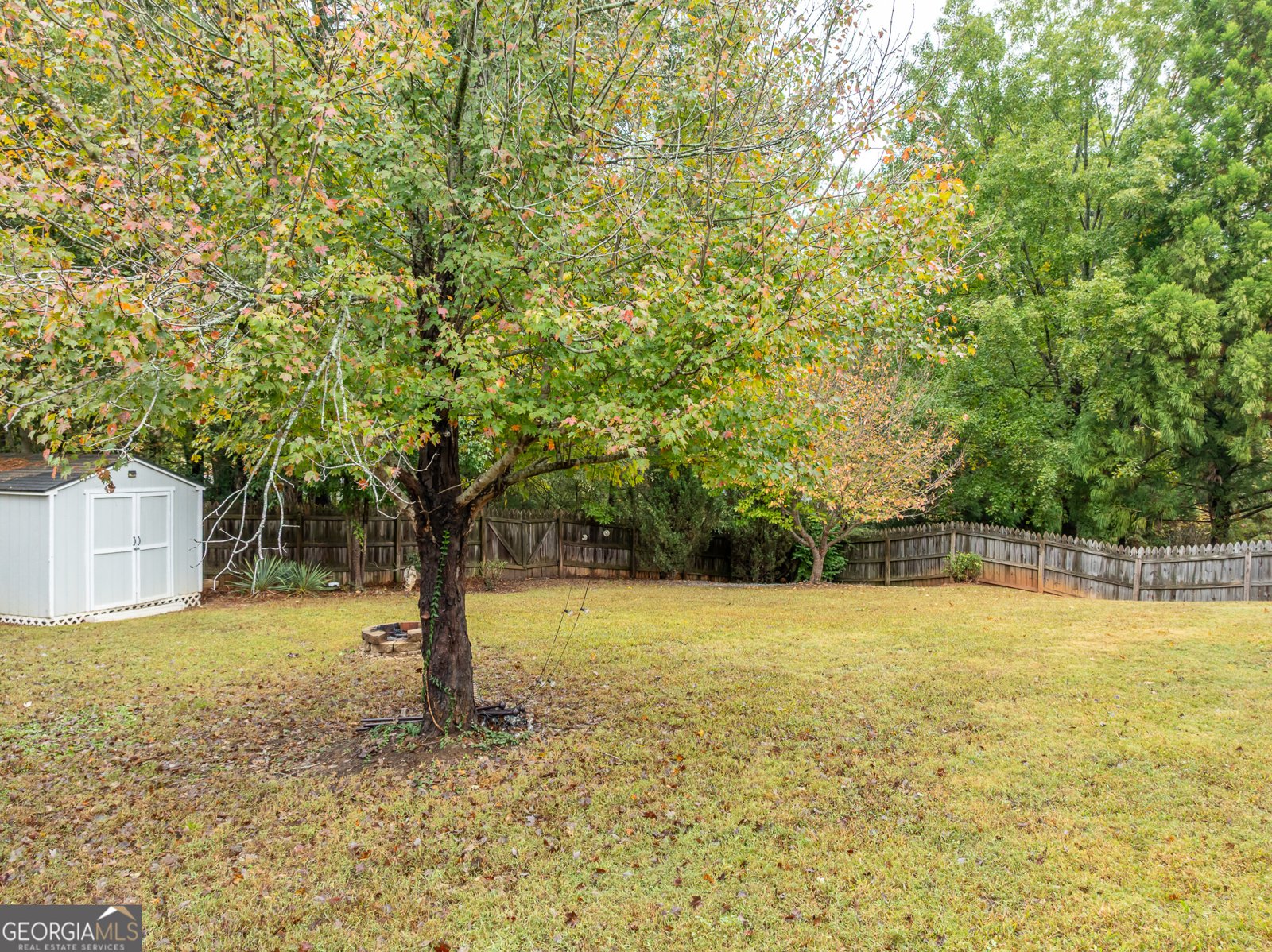 4440 Spring Mtn Lane Powder Springs - 53