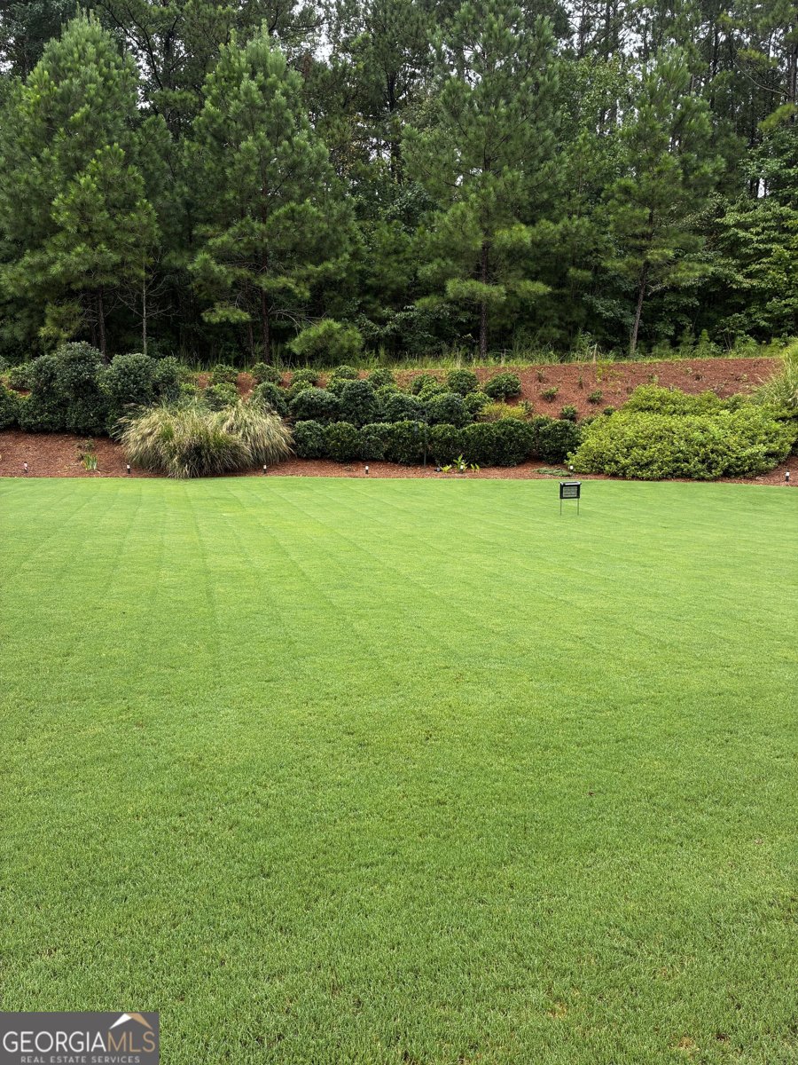 100 Crape Myrtle Drive Griffin - 4