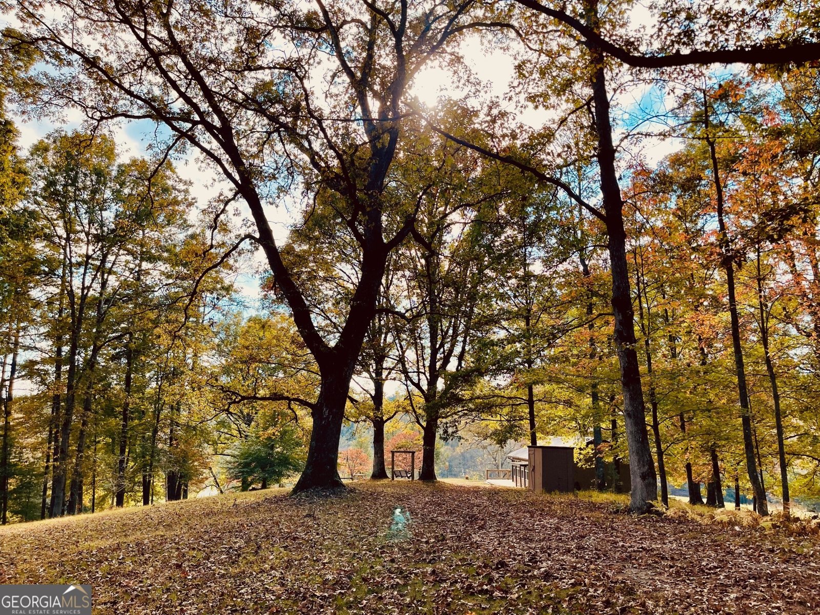 1030 Macedonia Church Road Blue Ridge - 1