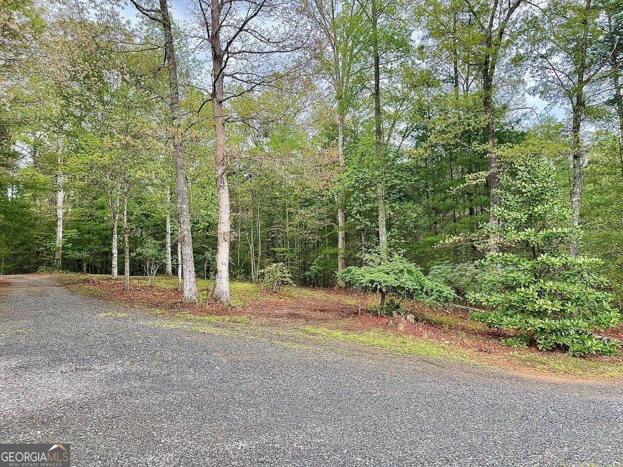 1030 Macedonia Church Road Blue Ridge - 11