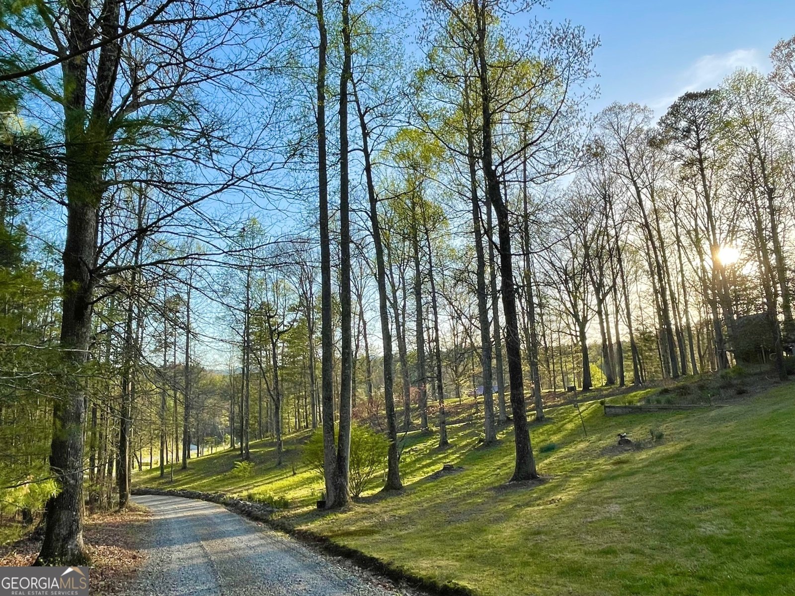 1030 Macedonia Church Road Blue Ridge - 2