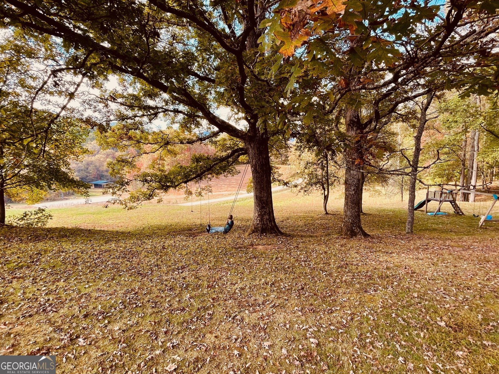 1030 Macedonia Church Road Blue Ridge - 3