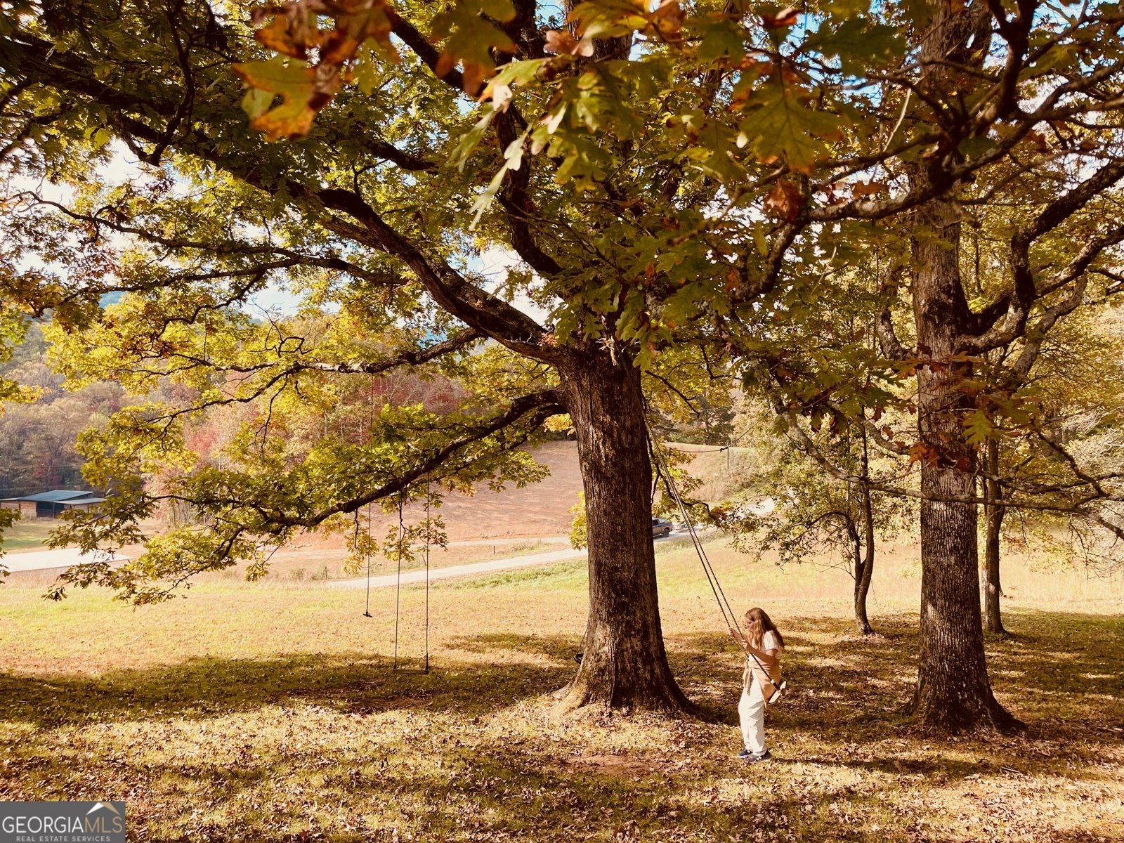 1030 Macedonia Church Road Blue Ridge - 4