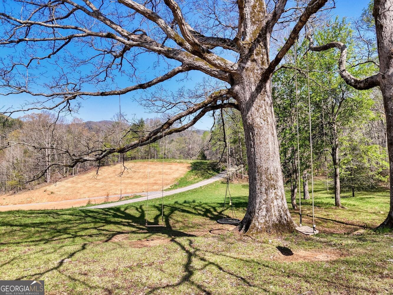 1030 Macedonia Church Road Blue Ridge - 47