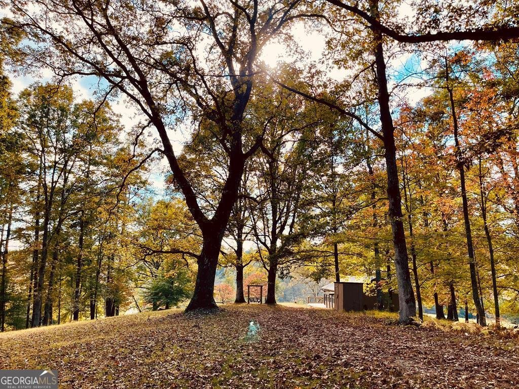 1030 Macedonia Church Road Blue Ridge - 5