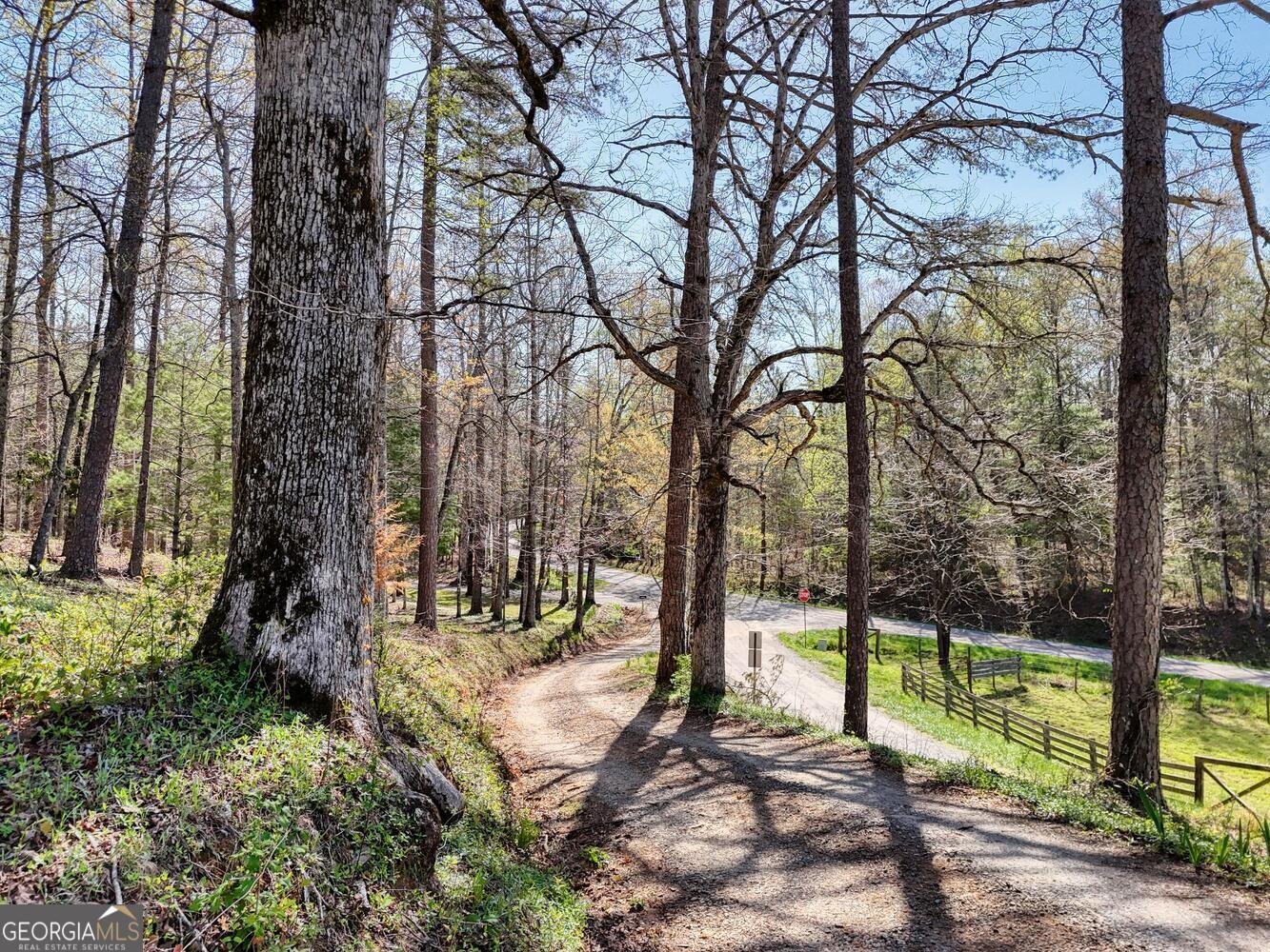 1030 Macedonia Church Road Blue Ridge - 60