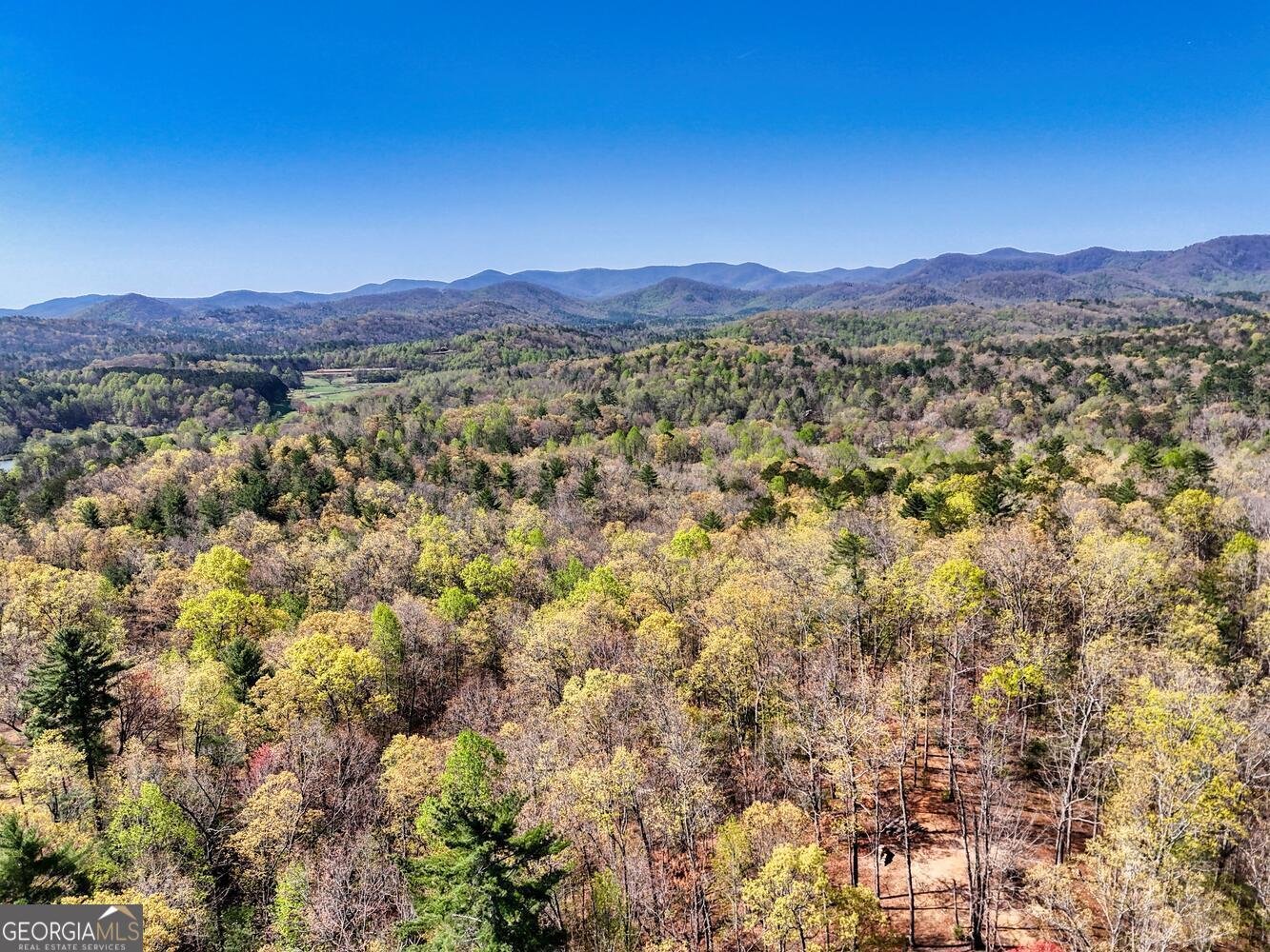 1030 Macedonia Church Road Blue Ridge - 64