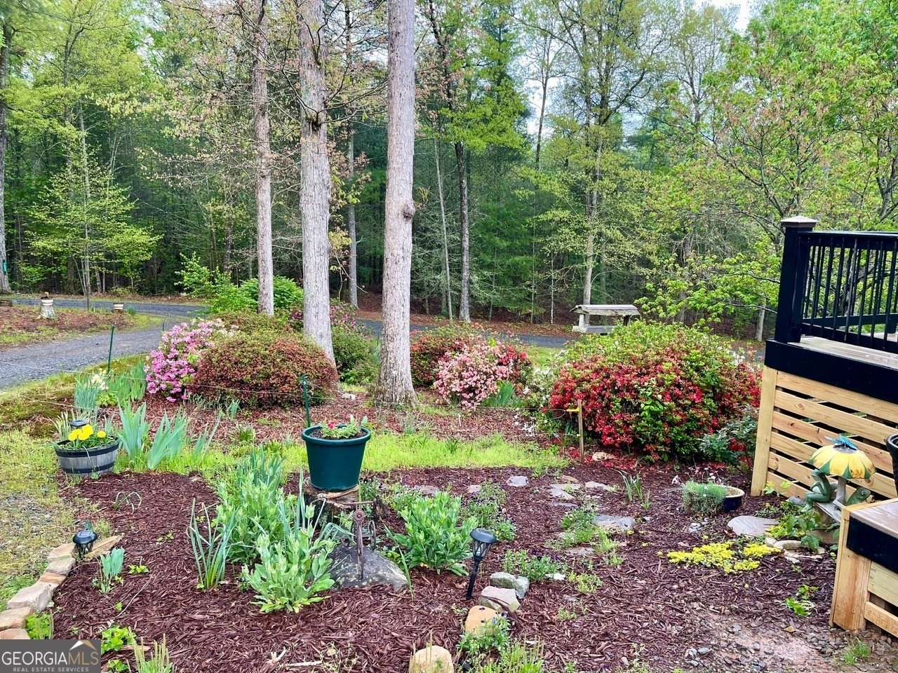 1030 Macedonia Church Road Blue Ridge - 9