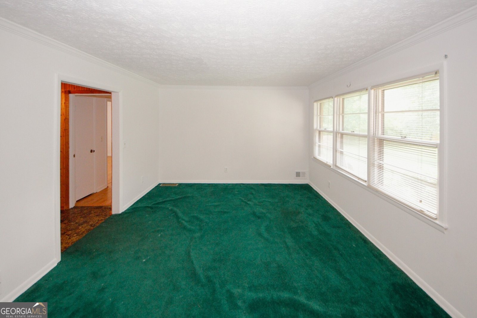 3257 Georgian Woods Circle Decatur - 25