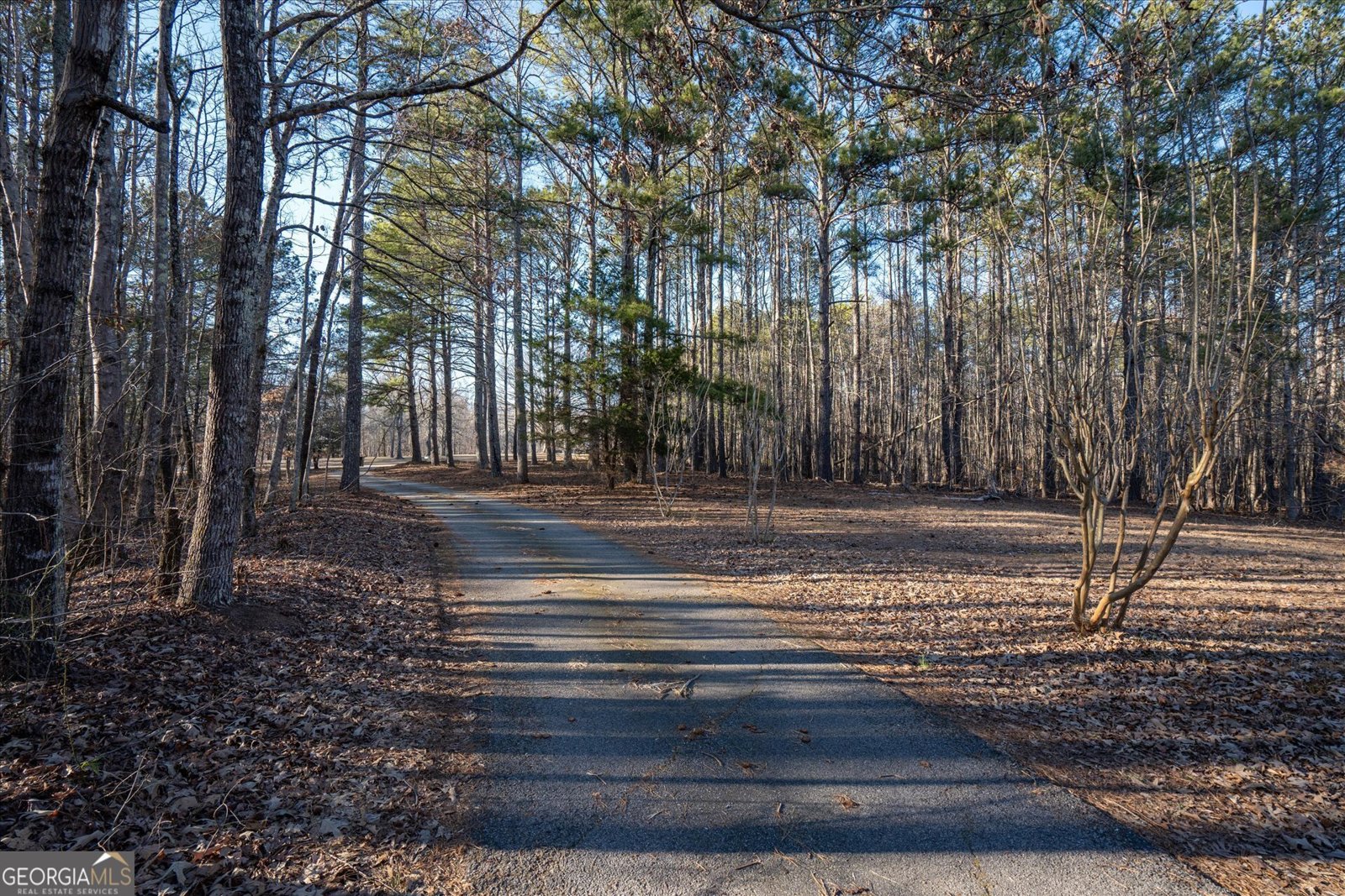 9209 Banks Mill Road Winston - 2