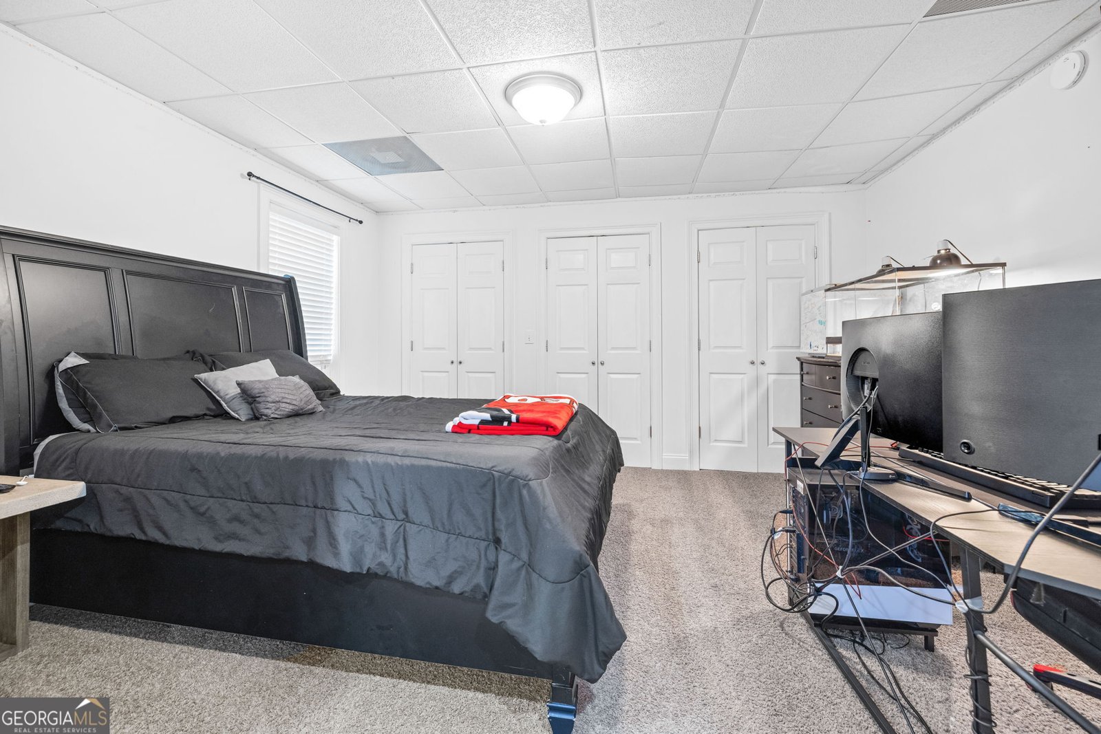 253 Grindstone Creek Drive Clarkesville - 32