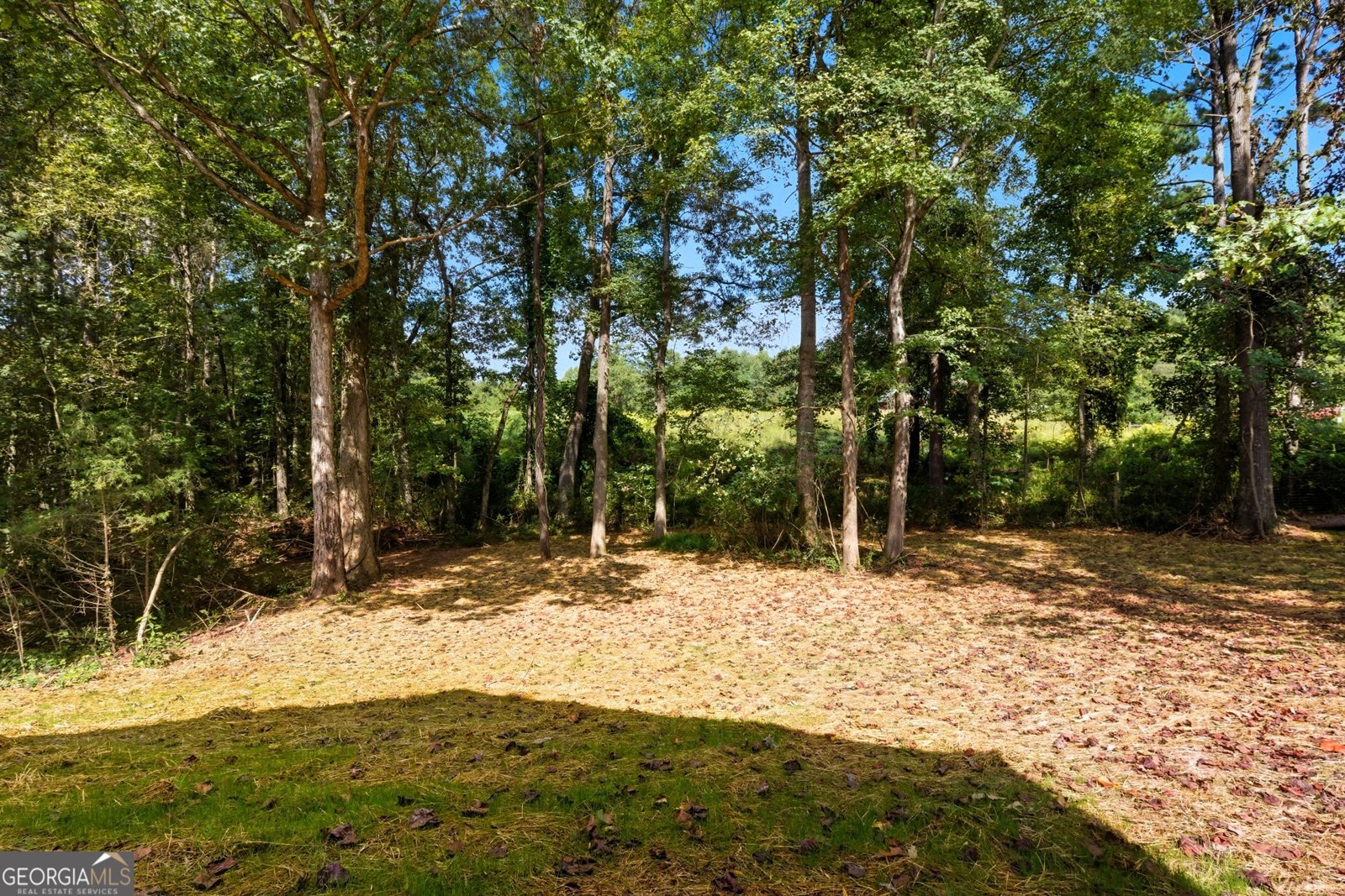 193 Tabitha Page Lane Toccoa - 24