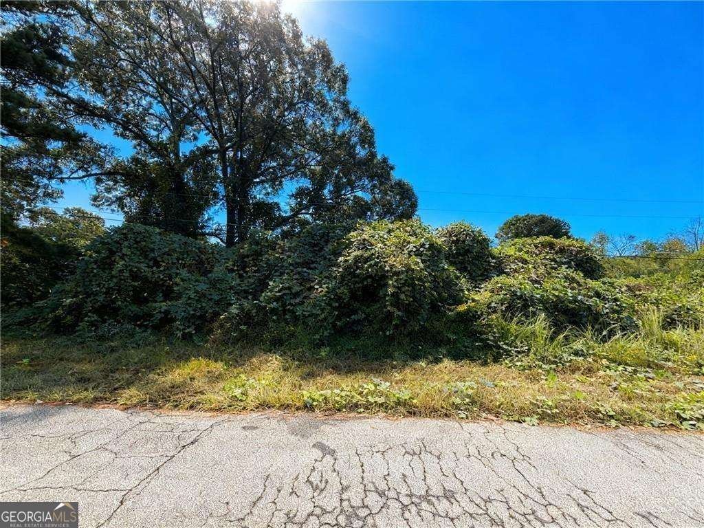 4020 Grant Road Ellenwood - 2