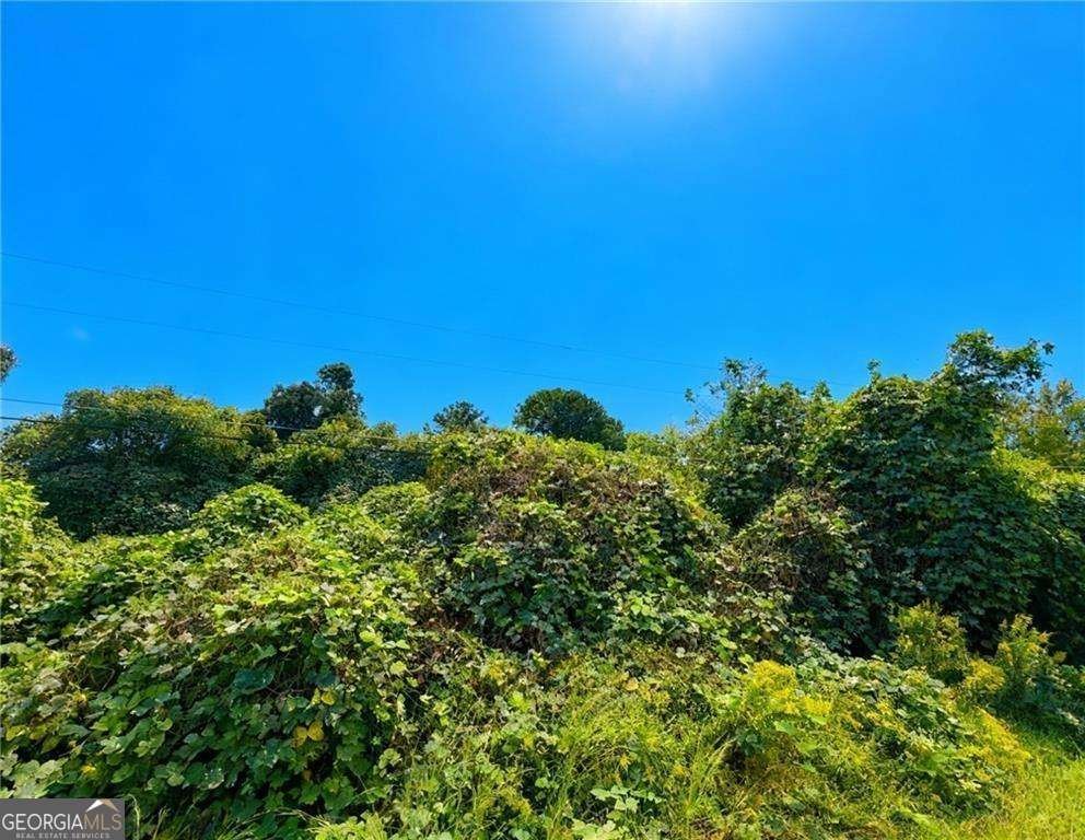 4020 Grant Road Ellenwood - 4