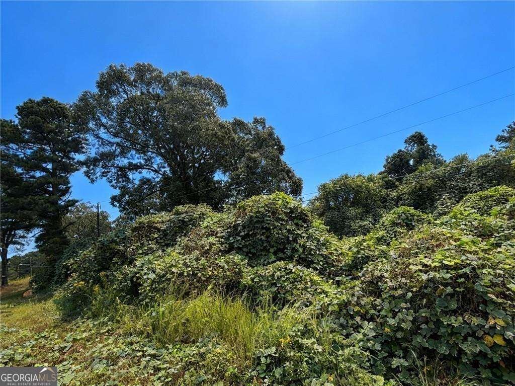 4020 Grant Road Ellenwood - 5