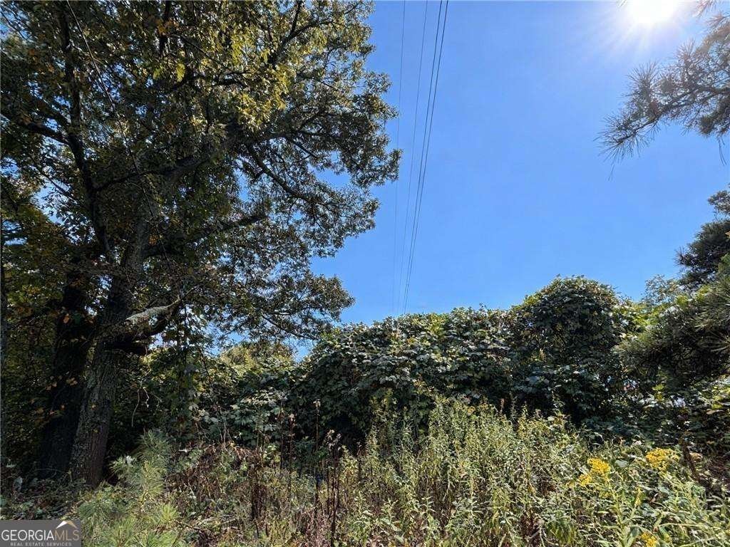 4020 Grant Road Ellenwood - 6