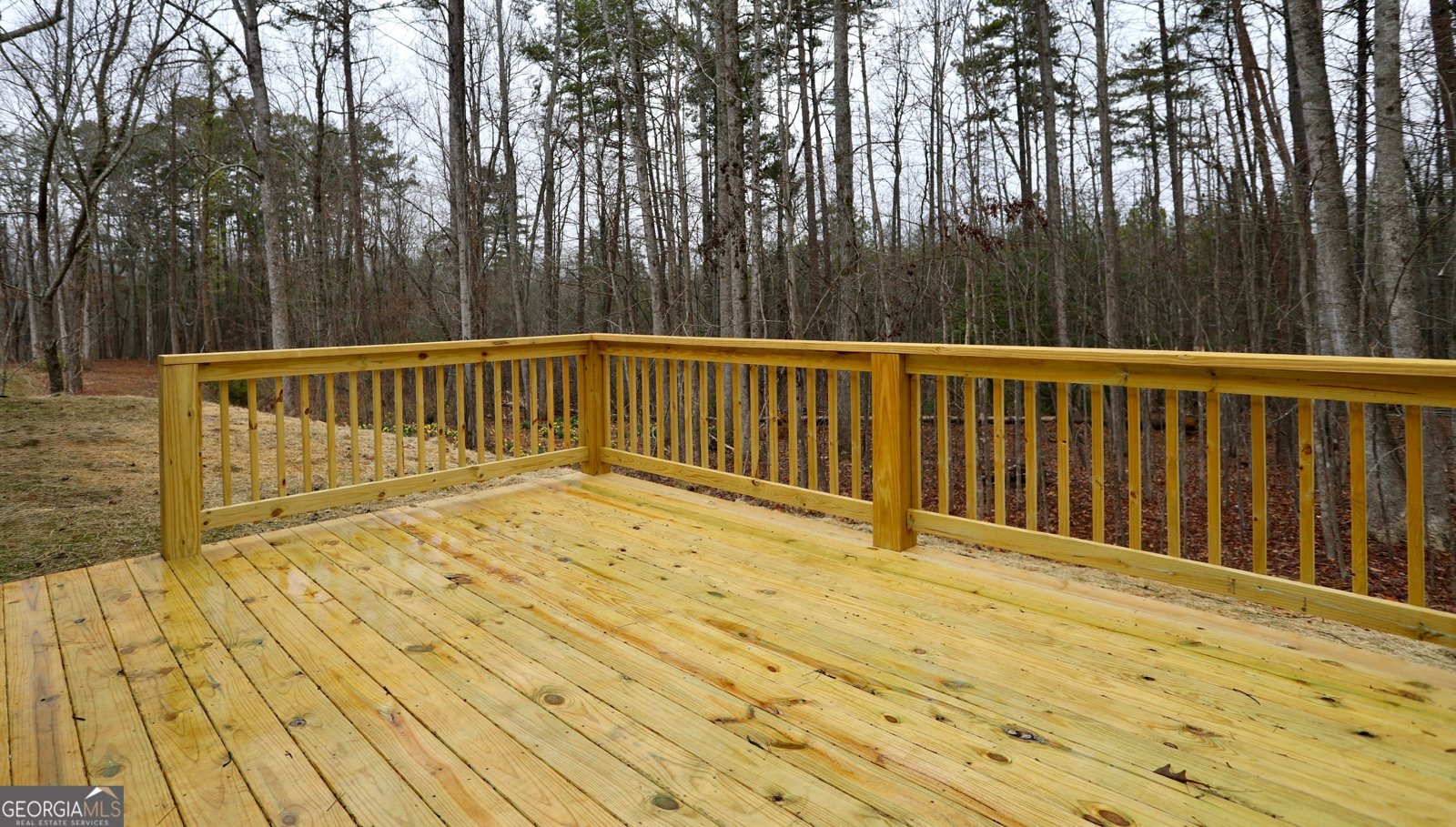 110 Kings Crossing Drive Dawsonville - Photo 20