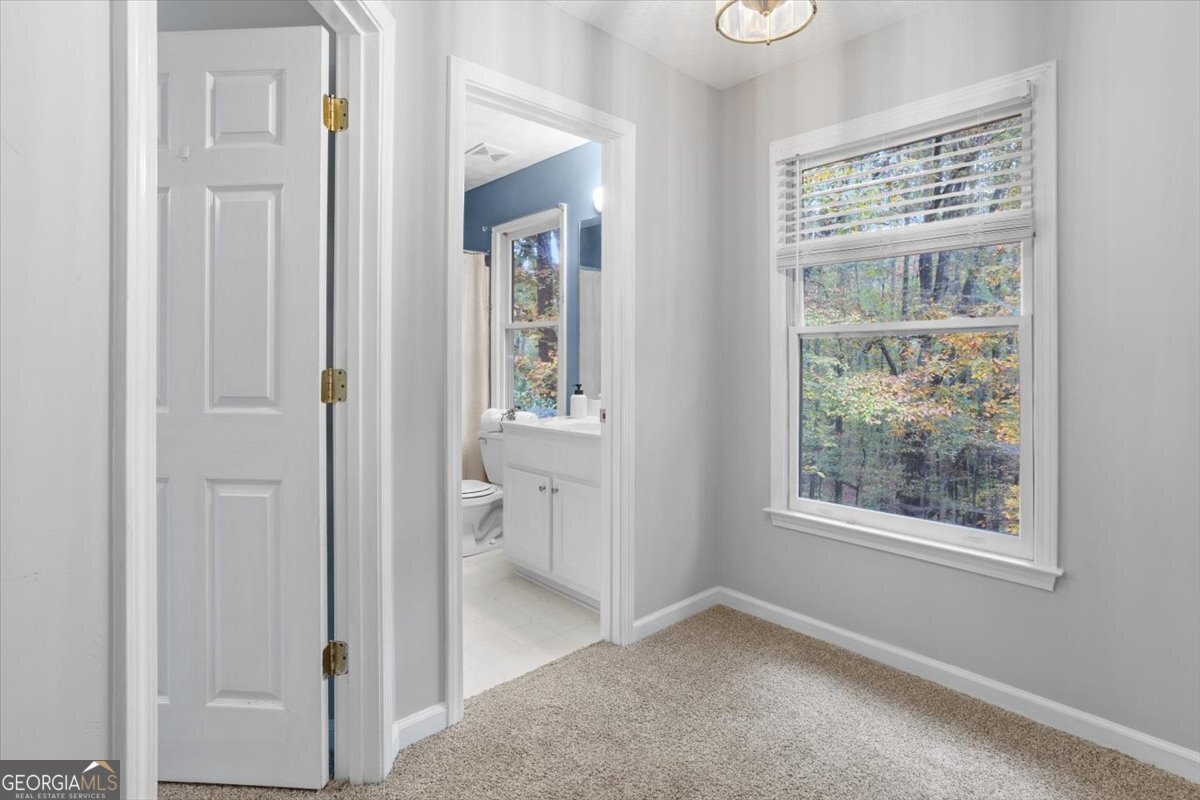 102 Modoc Court Waleska - 19