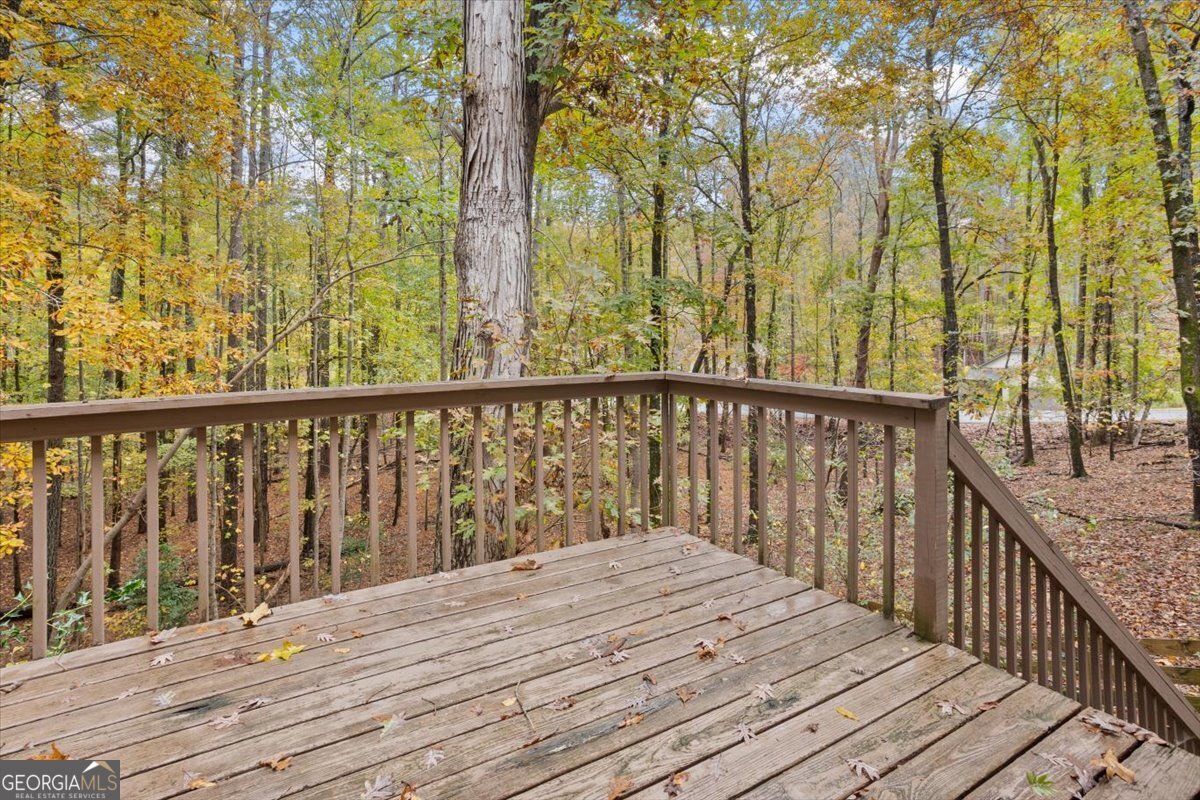 102 Modoc Court Waleska - 24