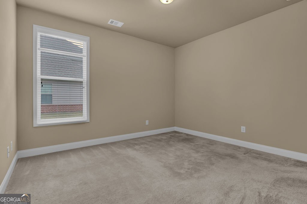 1730 Riverpark Drive Dacula - 22