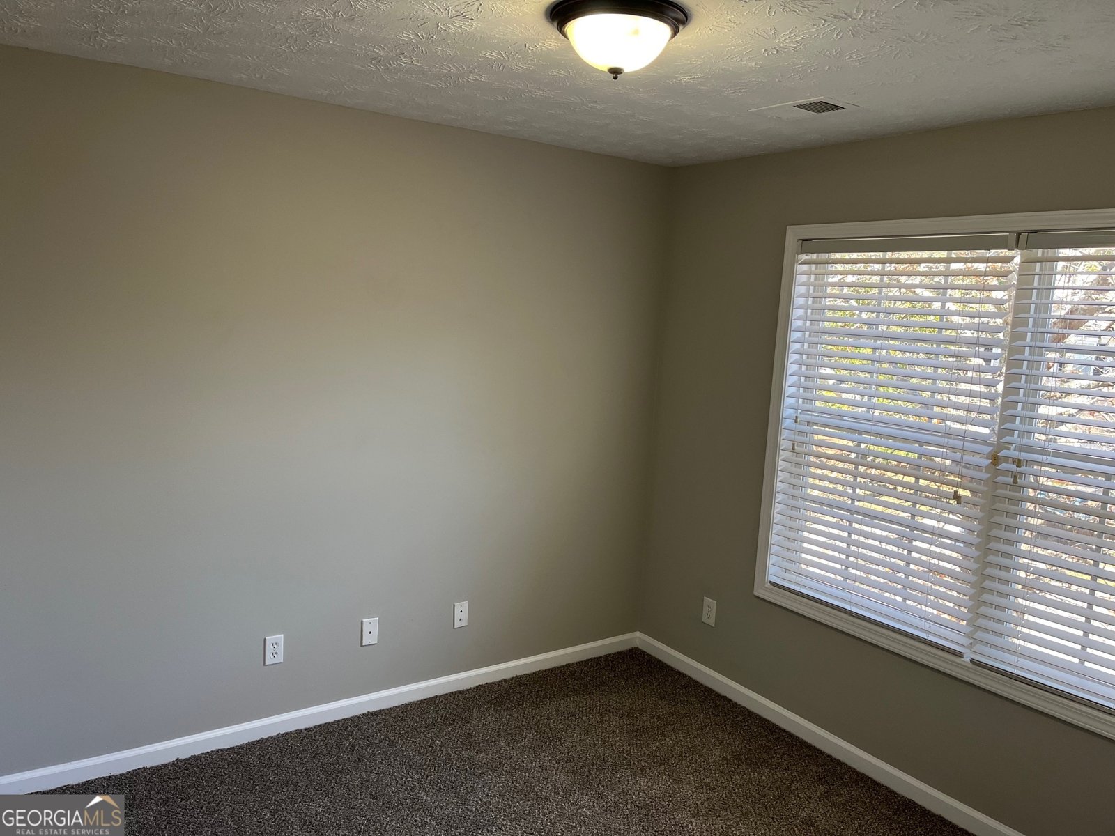 1016 Maple Leaf Drive Mcdonough - 15