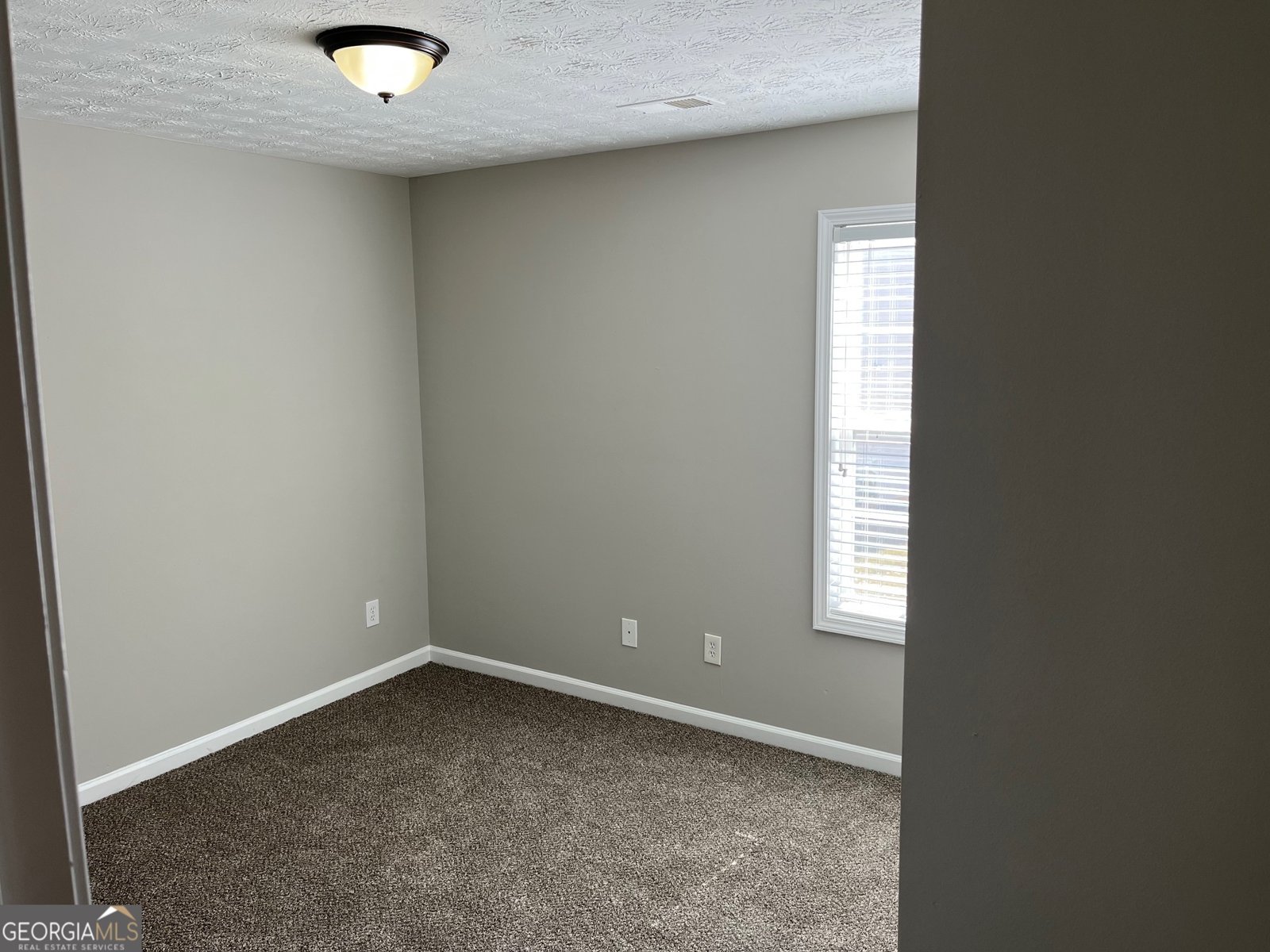 1016 Maple Leaf Drive Mcdonough - 17