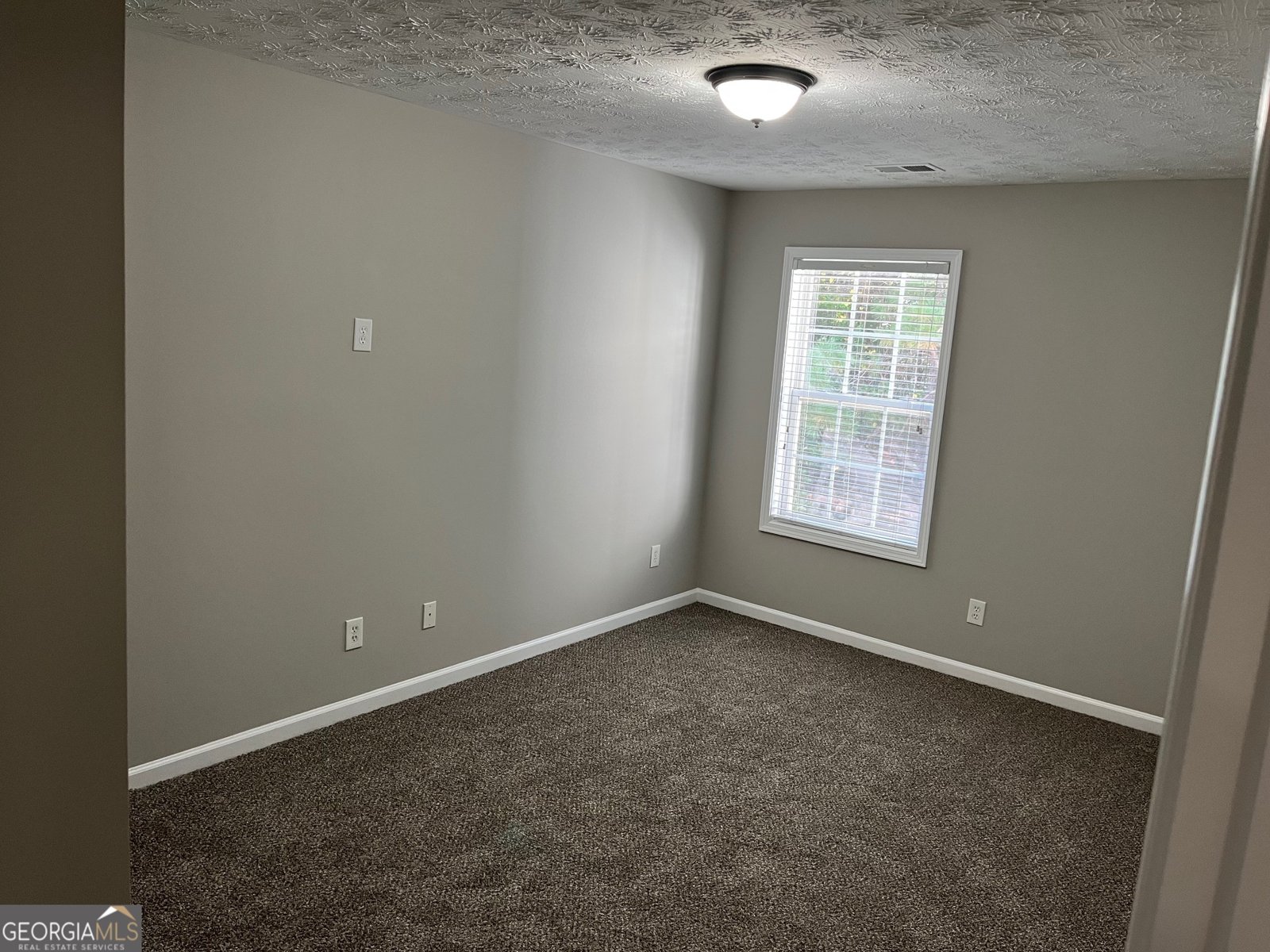 1016 Maple Leaf Drive Mcdonough - 19