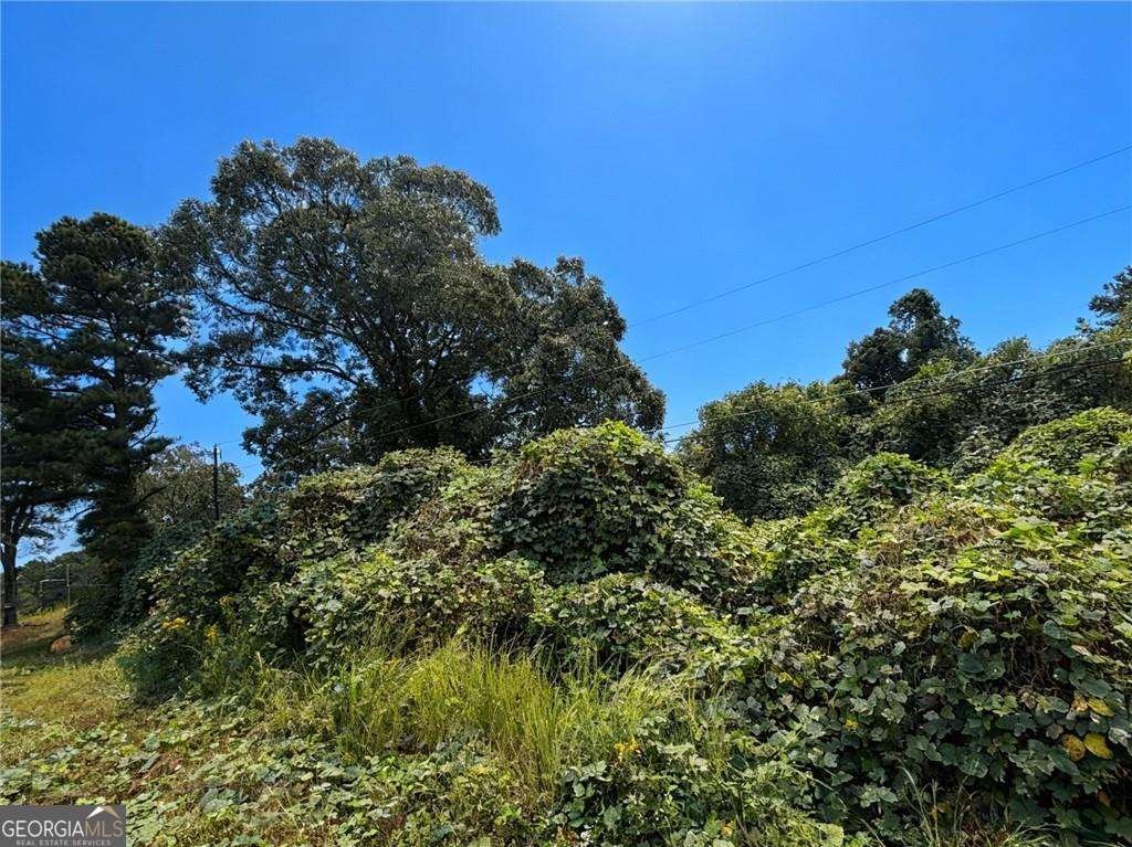 4020 Grant Road Ellenwood - 2