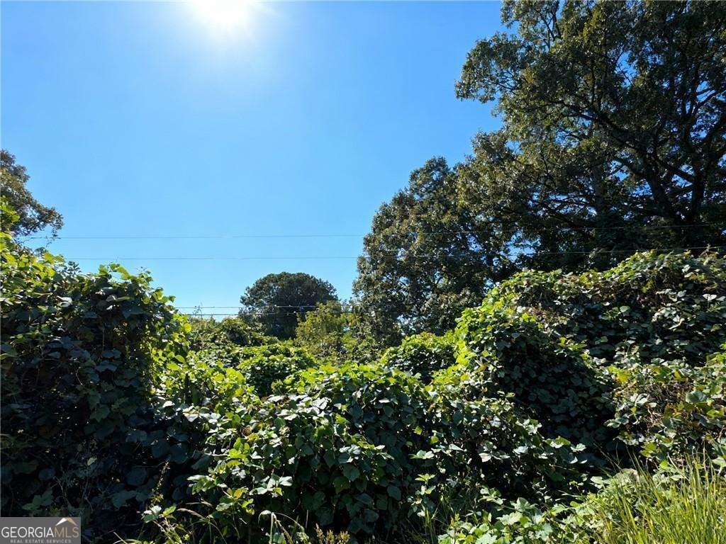 4020 Grant Road Ellenwood - 3