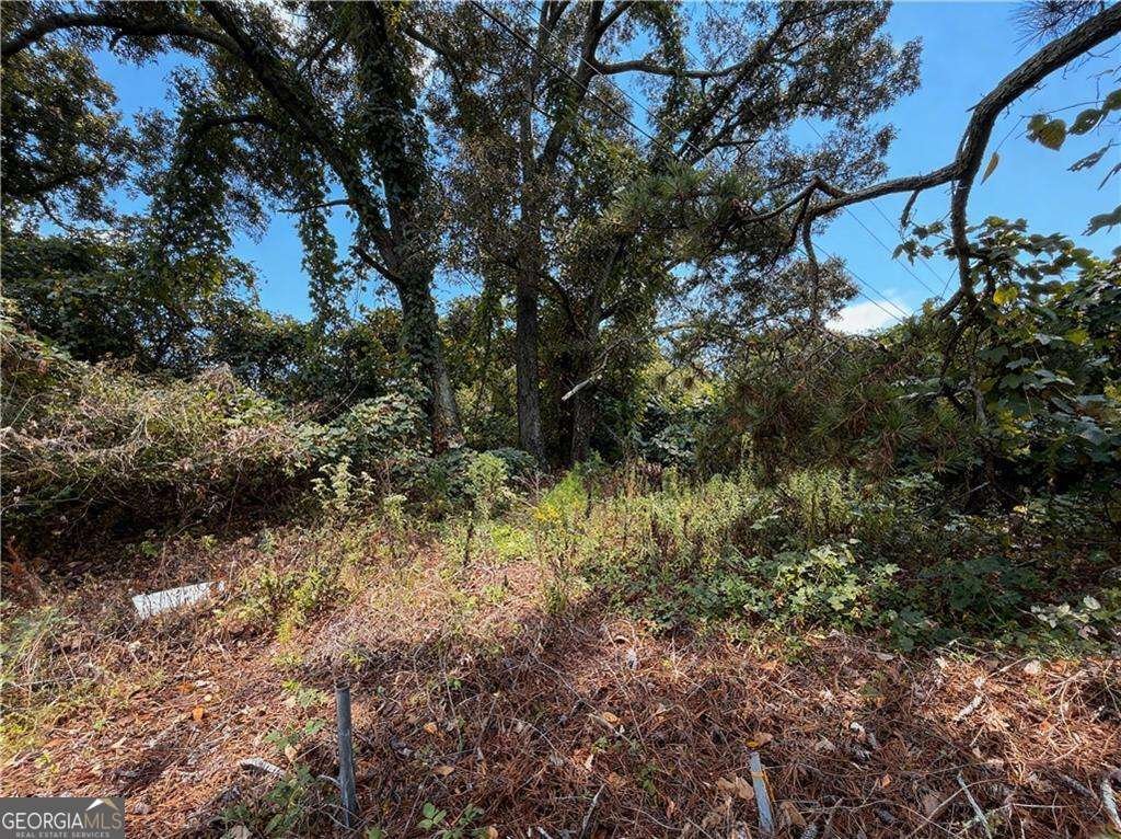 4020 Grant Road Ellenwood - 5