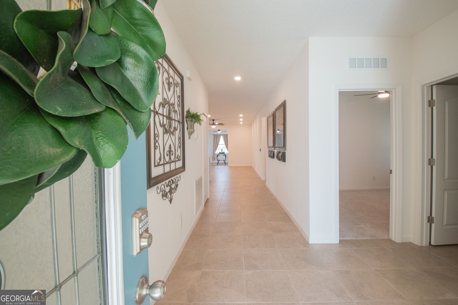 153 College Street Kingsland - 5