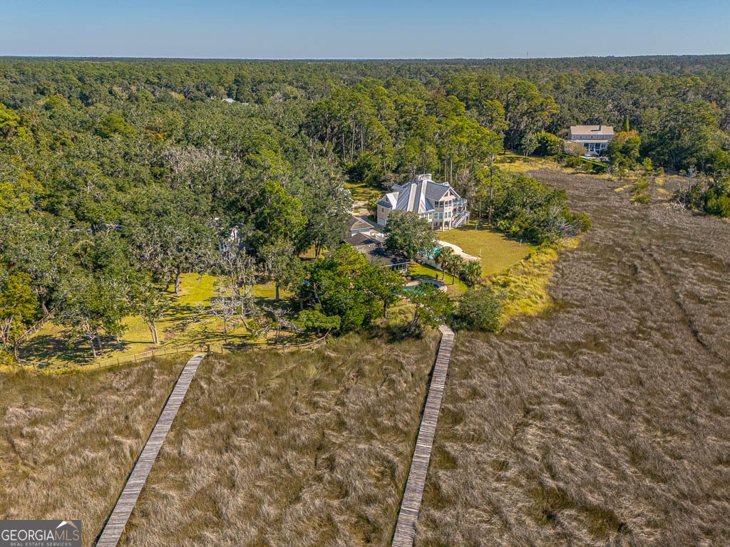 437 Mimosa Drive St. Simons - 47