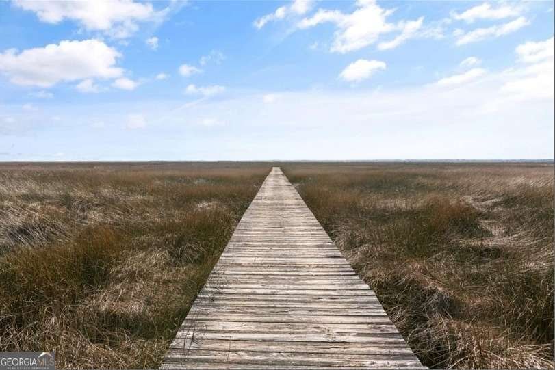 437 Mimosa Drive St. Simons - 61