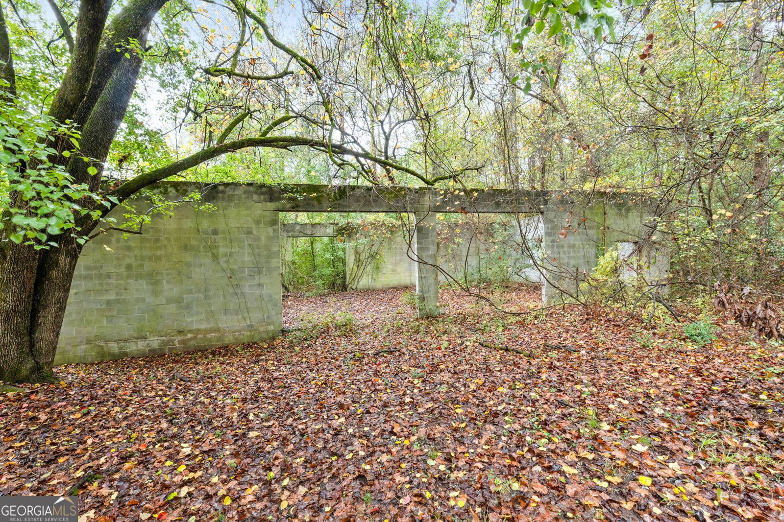 663 Moseley Drive Stockbridge - 36