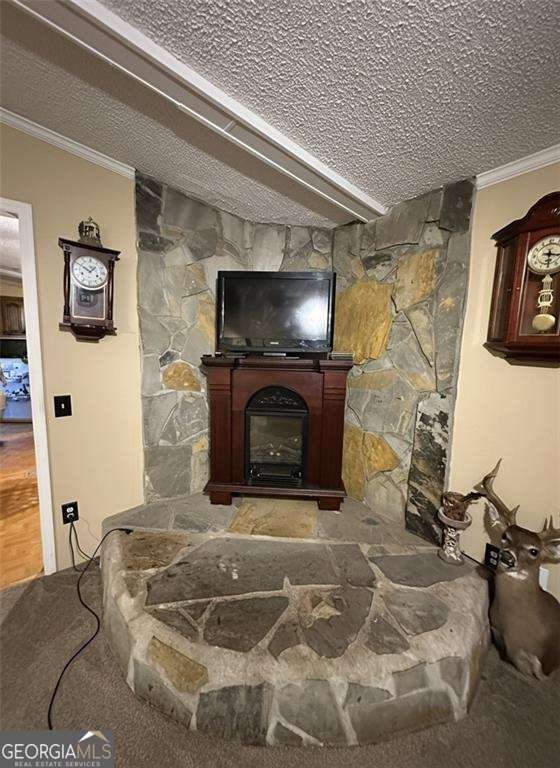 180 Alonzo Cain Road Dahlonega - 11