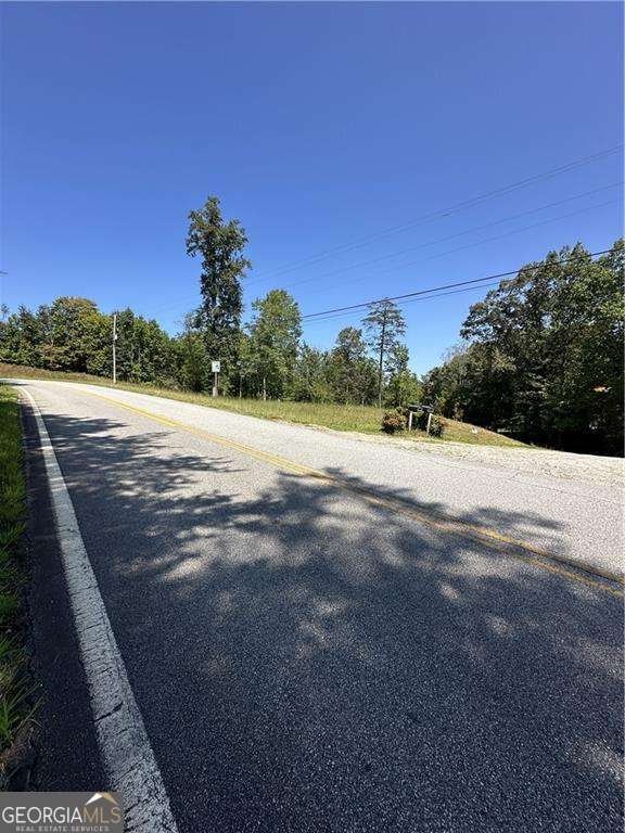 180 Alonzo Cain Road Dahlonega - 22