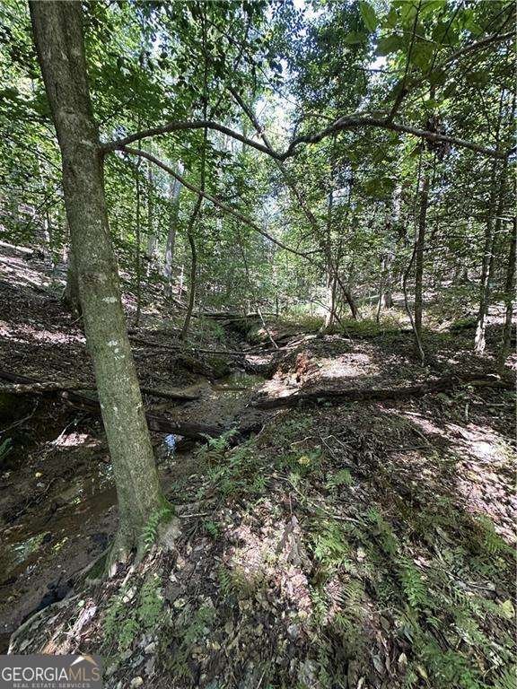 180 Alonzo Cain Road Dahlonega - 29