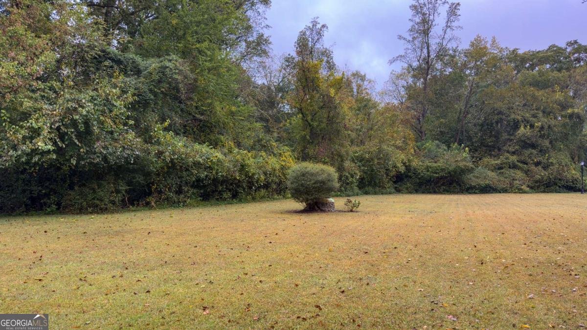 1182 CHURCH Street Decatur - 21