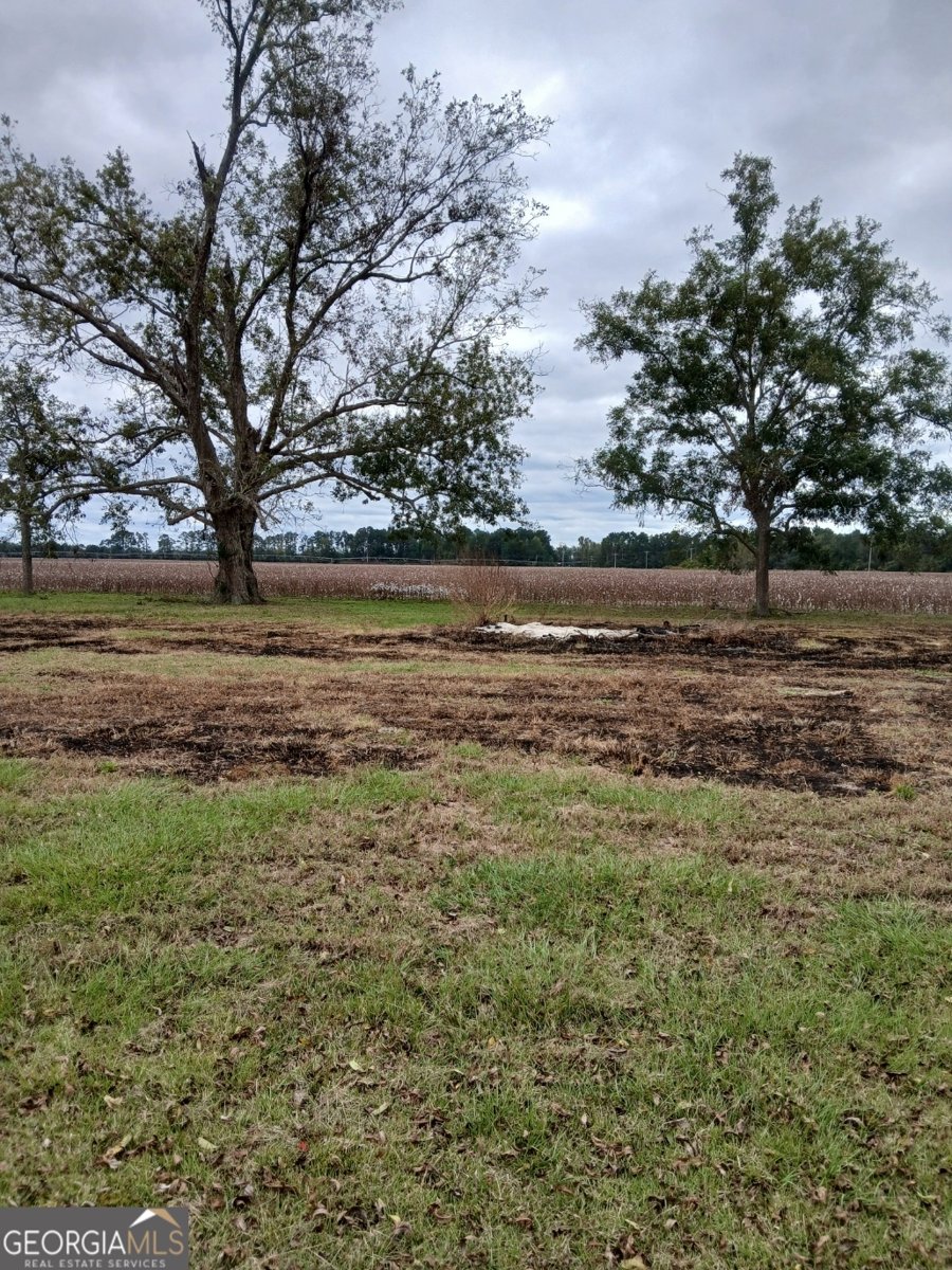 2335 Railroad Bed Road Brooklet - 17