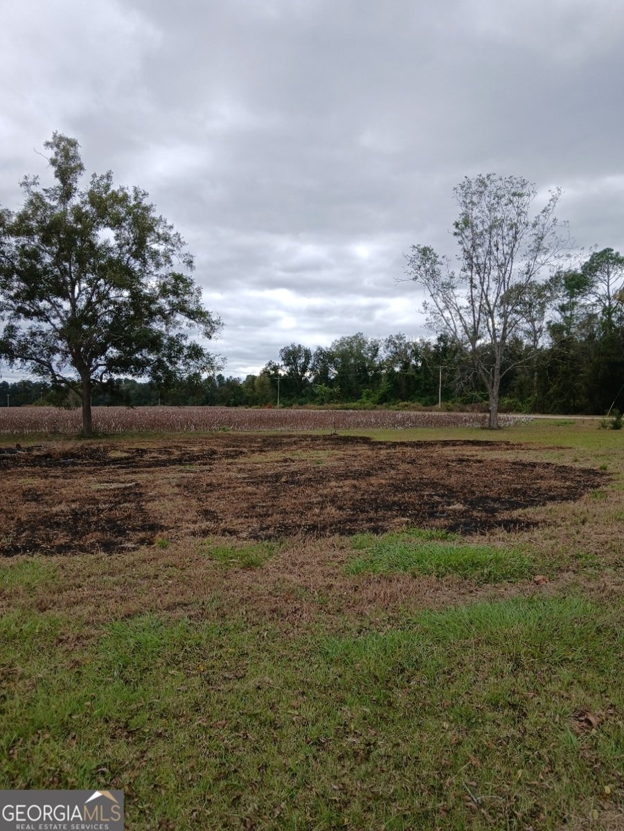 2335 Railroad Bed Road Brooklet - 18